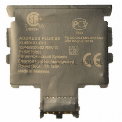 Fischer-Rosemount Systems 12P4983X402